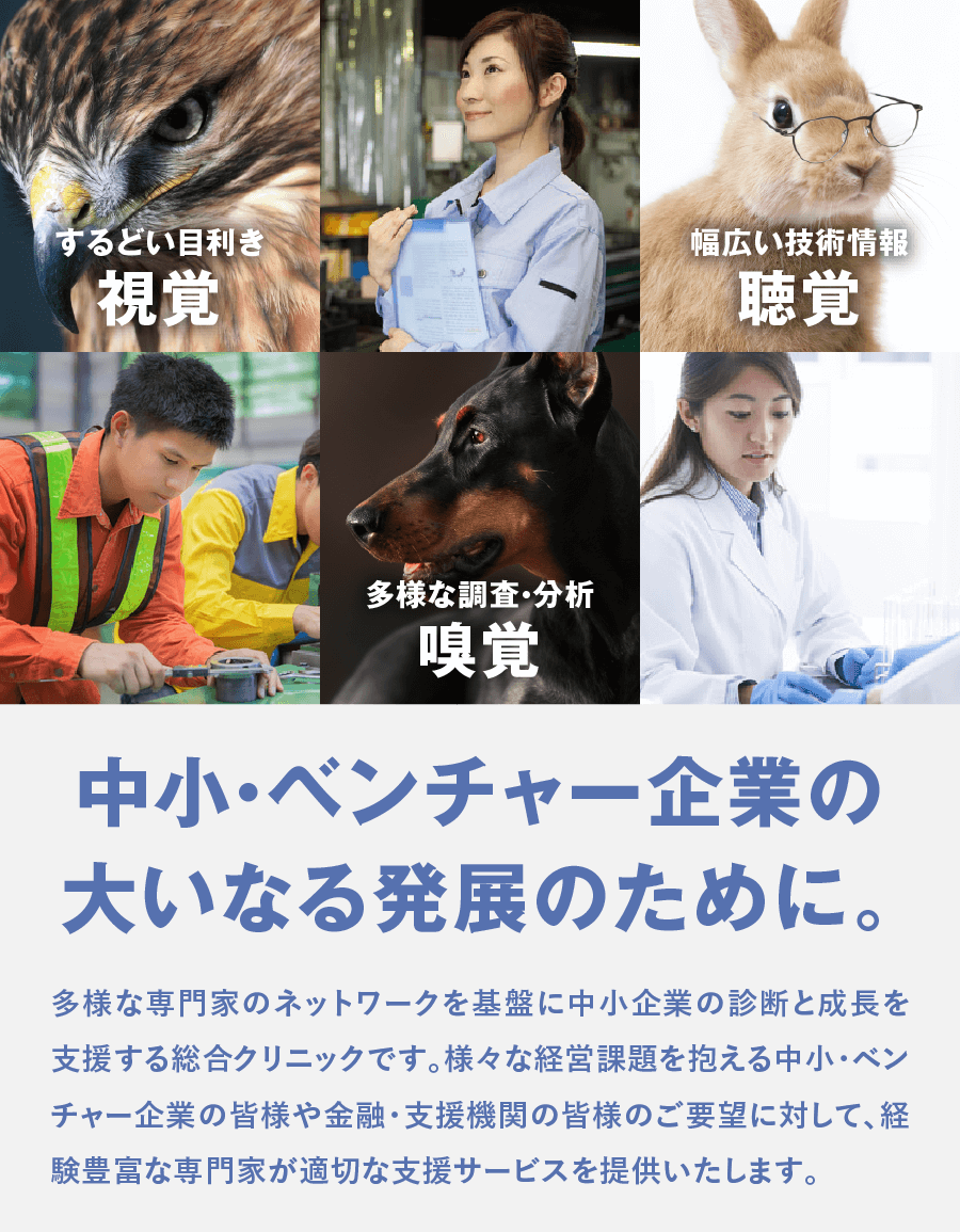 事業成長性評価・診断、技術、知財等各種調査、補助金申請支援｜ビズサポート株式会社